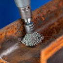 ESCOVA POS PBU 2020/6,35 ST 0,30 PSF PFERD ART. 43740058